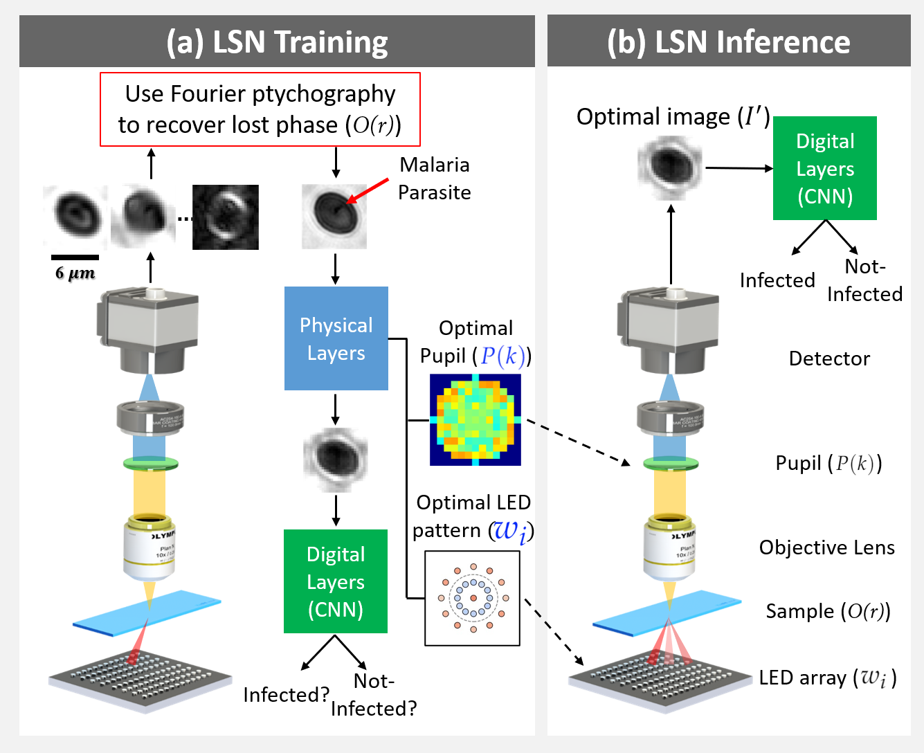 Learned sensing network (LSN) framework